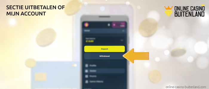 Om uw winsten bij iDEAL online casino op te nemen, gaat u naar het gedeelte 'Uitbetalingen' of 'Mijn account' op de site